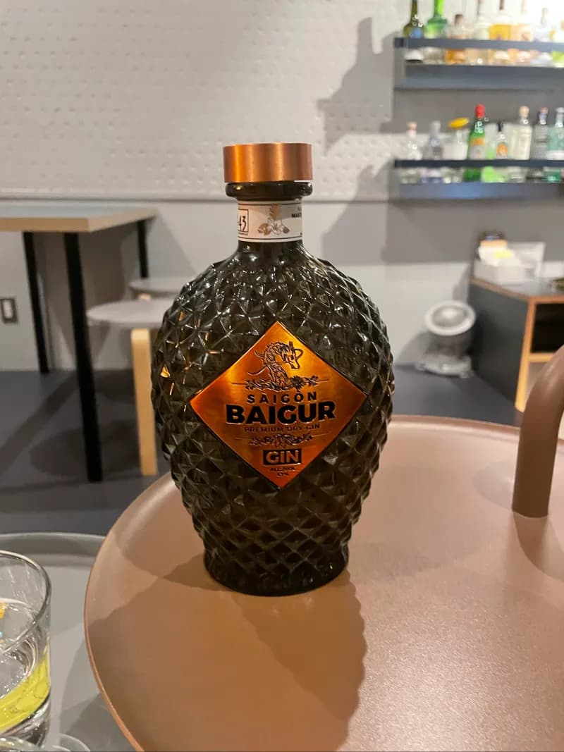 SAIGON BAIGUR