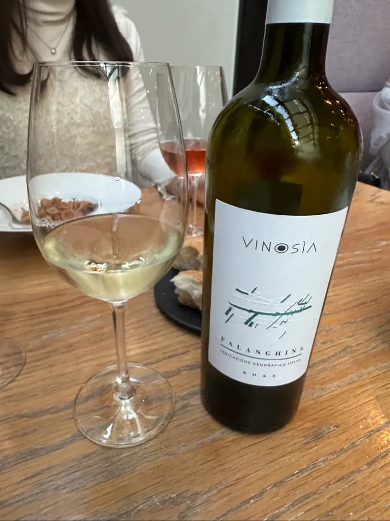 Falanghina Beneventano 2023