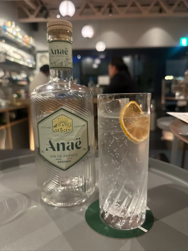 Anae Gin Francais